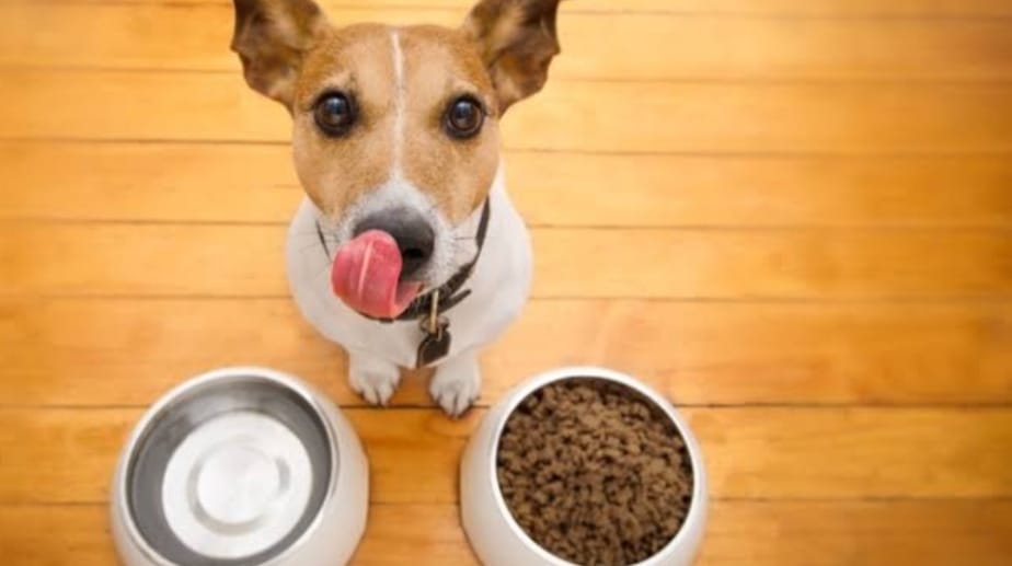 WhatsApp Image 2025-08-29 at 16.24.36.jpeg